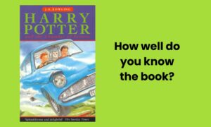 Harry Potter and the Chamber of Secrets Book Quiz